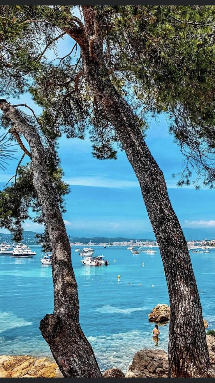 Beautiful Apartment Design Next To The Sea Antibes Zewnętrze zdjęcie